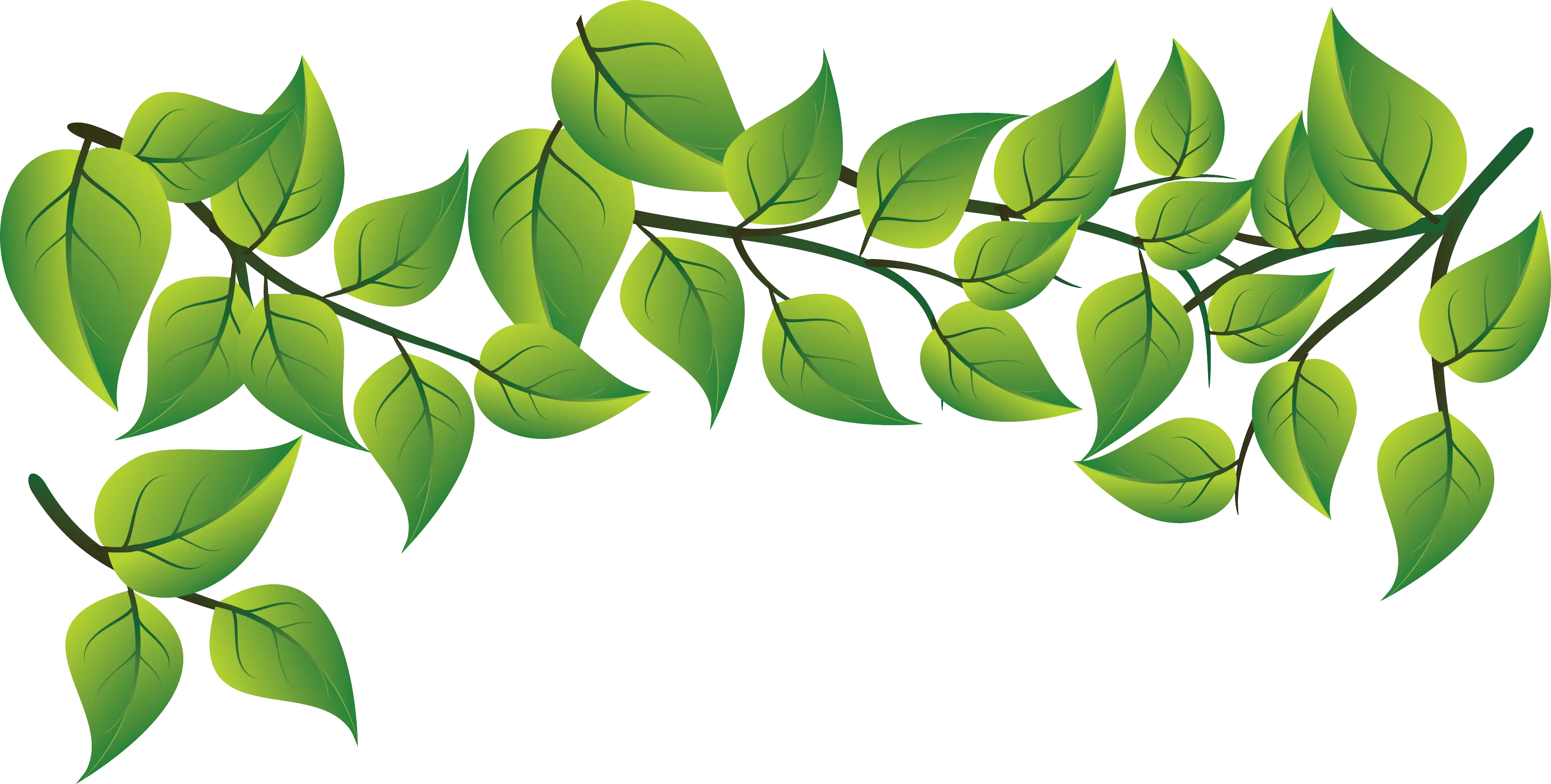 Green Leafy Branch Illustration