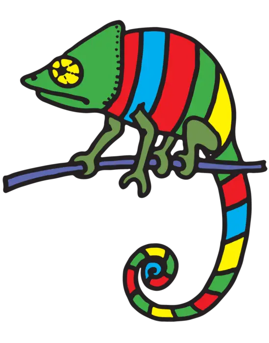 Colorful Chameleon on Branch