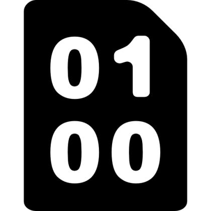 Binary Code Icon