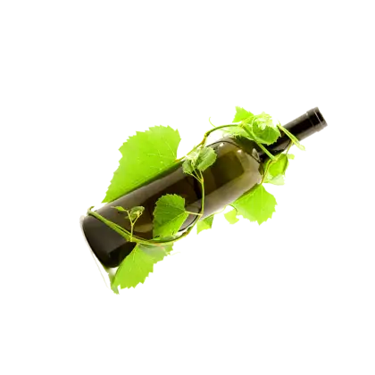Wine Bottle with Vine