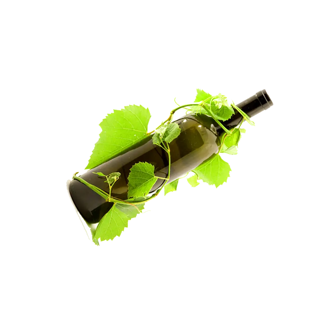 Wine Bottle with Vine