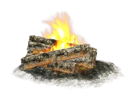 Burning Campfire with Logs