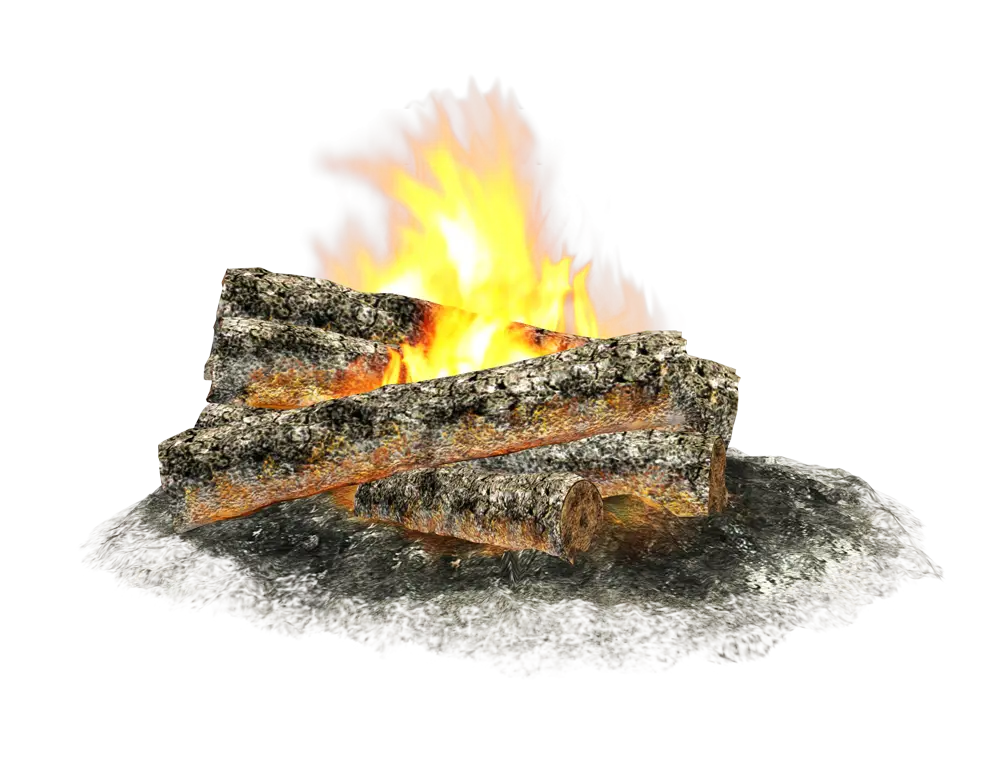 Burning Campfire with Logs
