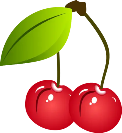 Red Cherries with Green Leaf Illustration