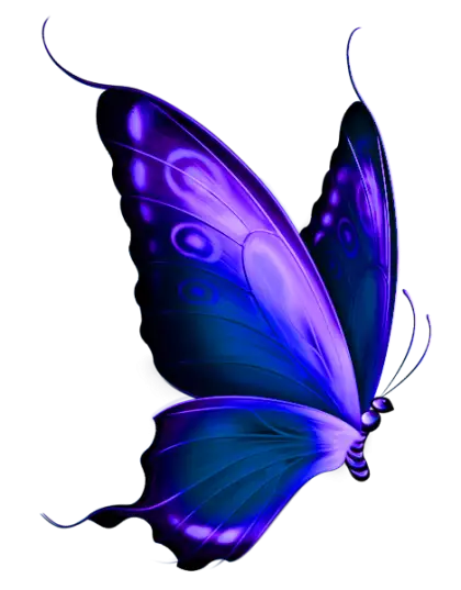 Beautiful Purple Butterfly with Elegant Wings