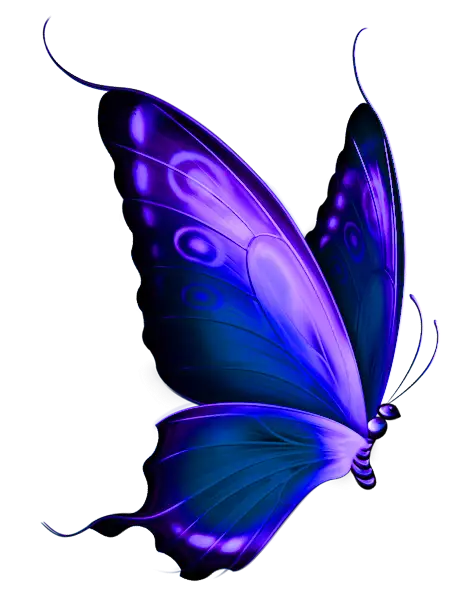 Beautiful Purple Butterfly with Elegant Wings