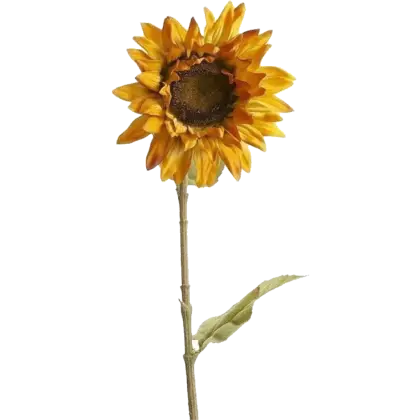 Detailed Sunflower Artwork with Petals