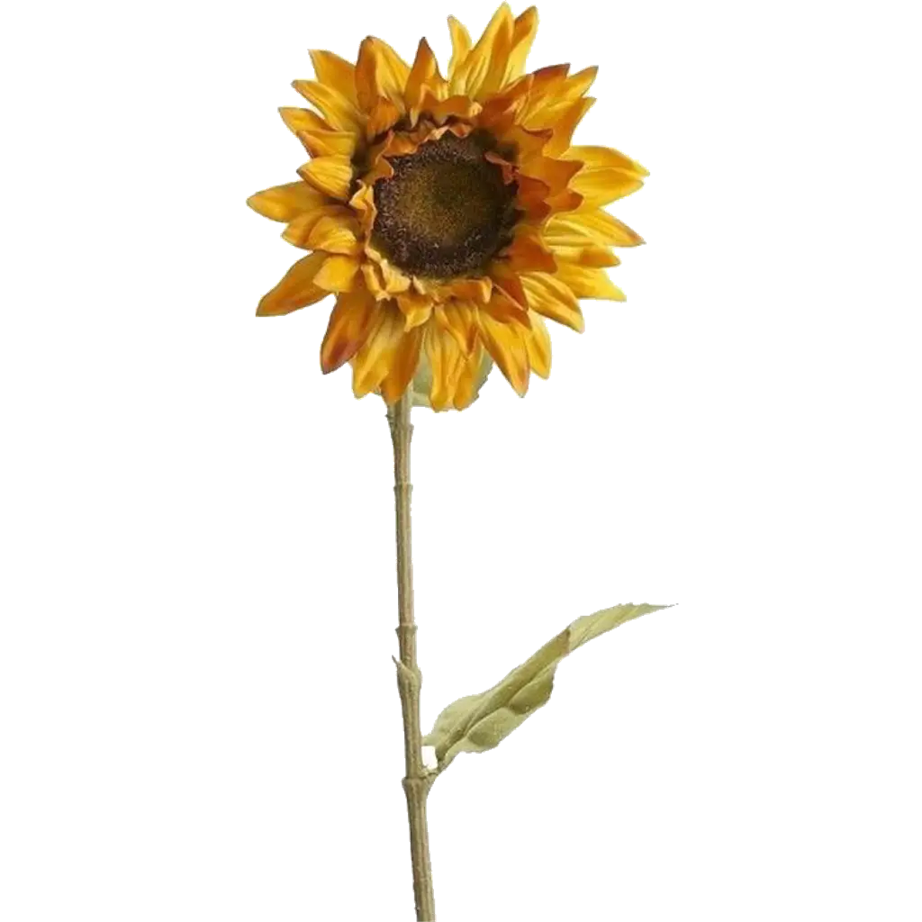 Detailed Sunflower Artwork with Petals