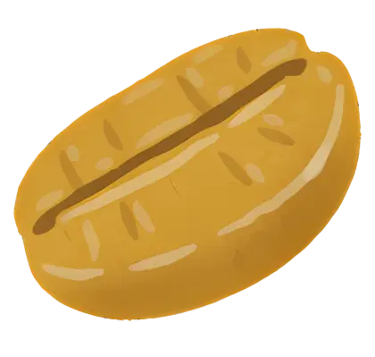 Single Coffee Bean Illustration