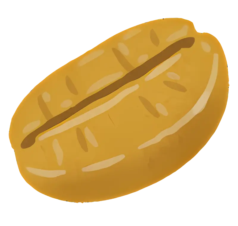 Single Coffee Bean Illustration
