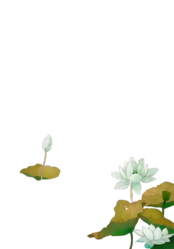 Lotus Flowers in Water