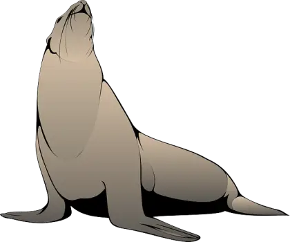 Cartoon Seal Sitting Upright