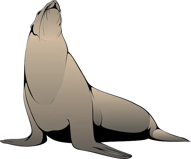 Cartoon Seal Sitting Upright