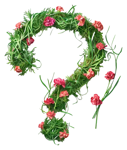 Question Mark Made of Flowers and Leaves