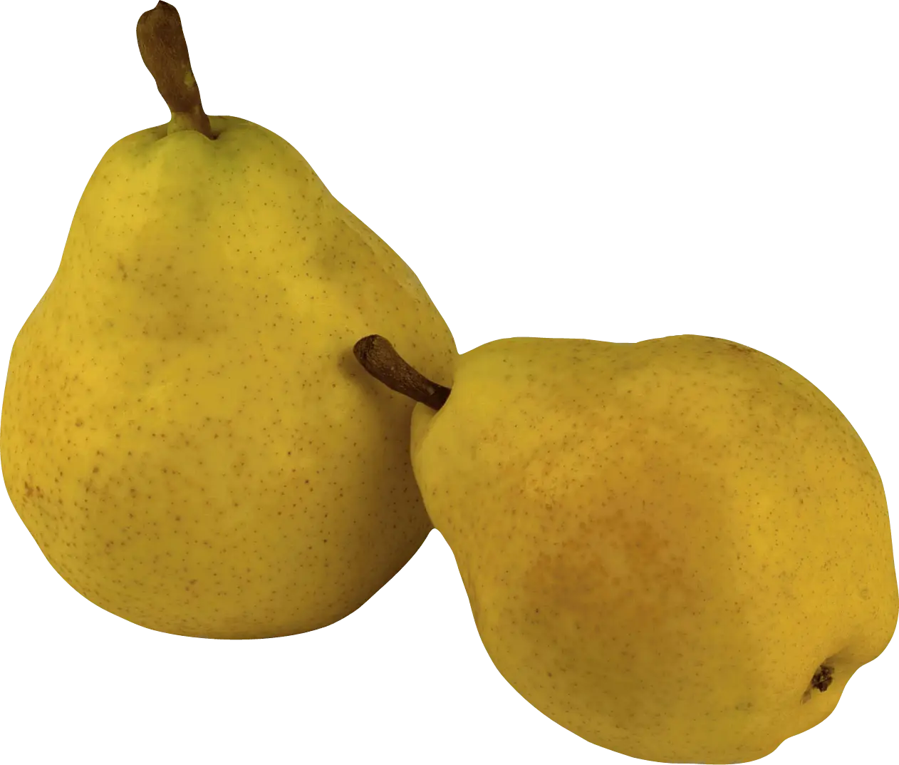 Pair of Ripe and Golden Yellow Pears