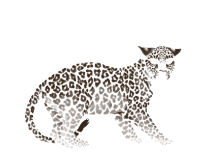 Leopard Illustration with Spotted Pattern