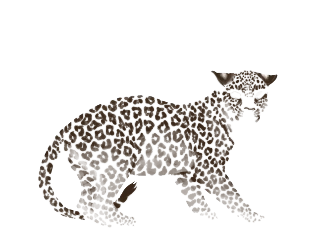 Leopard Illustration with Spotted Pattern