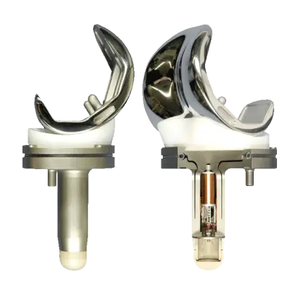 Metal Knee Implant