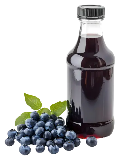 Fresh Blueberry Juice Bottle with Fruits