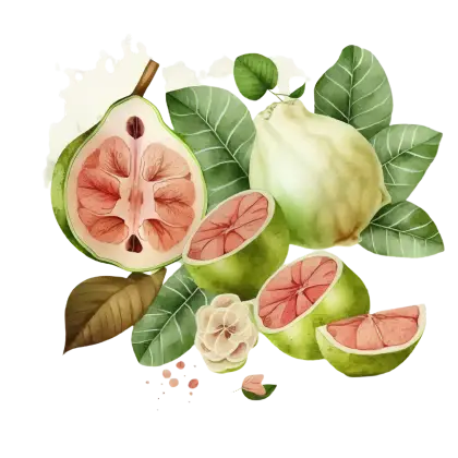 Fresh Guava with Leaves