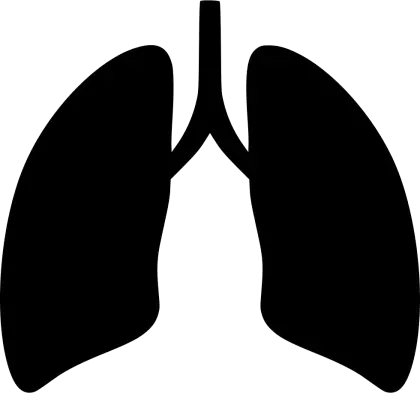 Black Lungs Silhouette Symbol