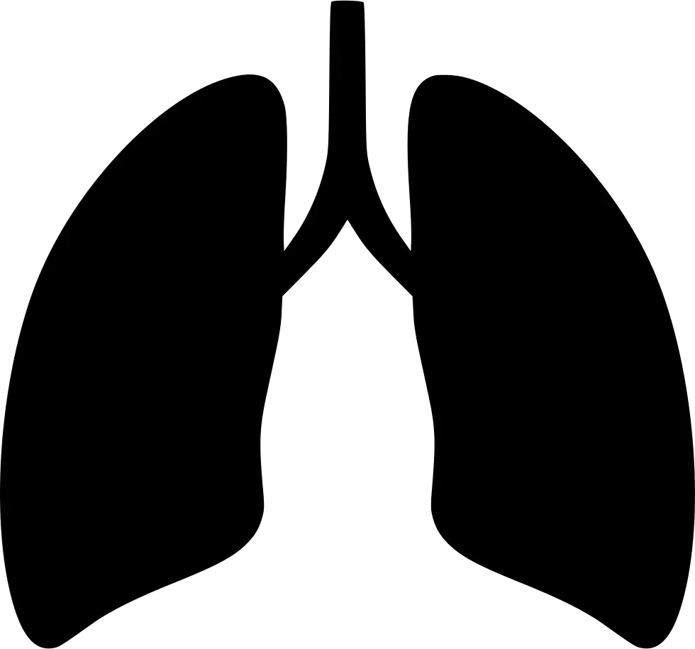 Black Lungs Silhouette Symbol