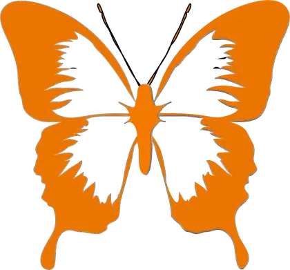 Orange Butterfly Design Illustration