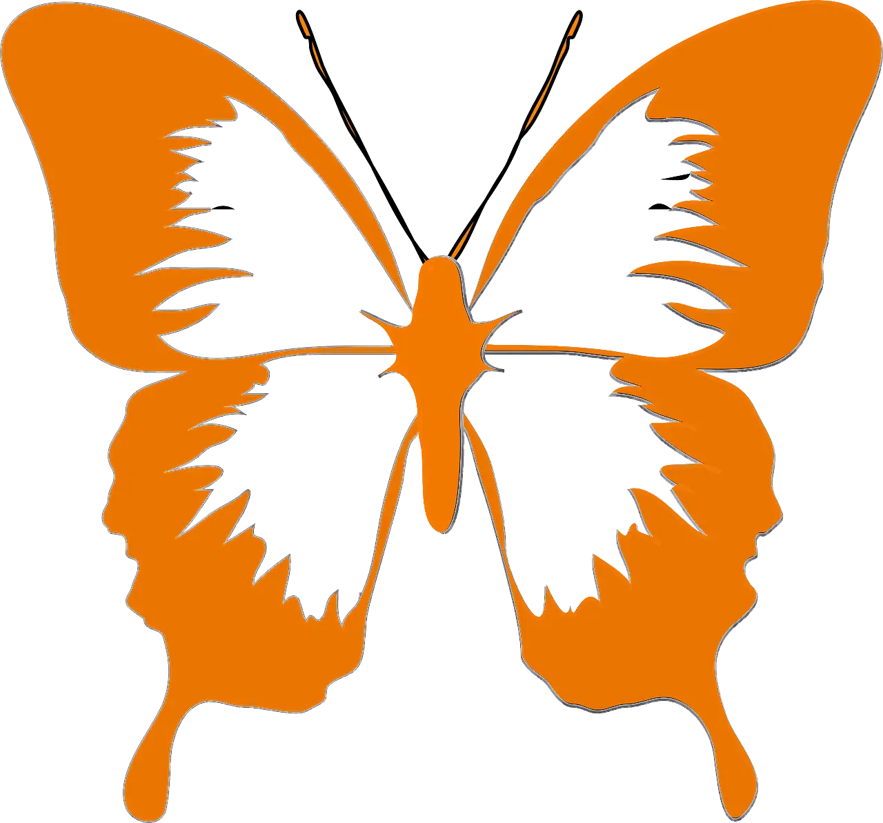 Orange Butterfly Design Illustration