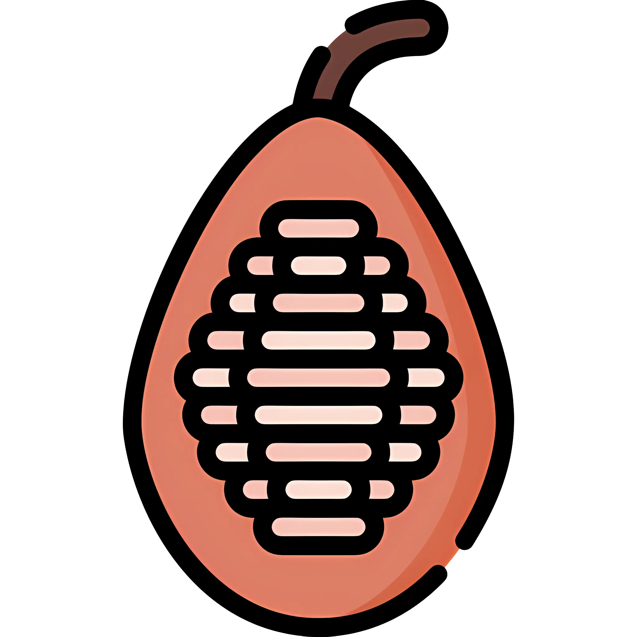 Cocoa Pod Illustration
