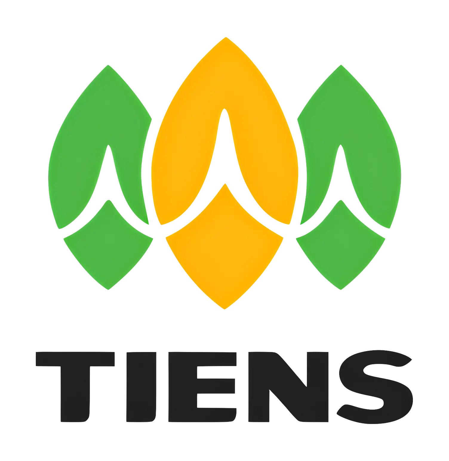 Tiens Company Logo