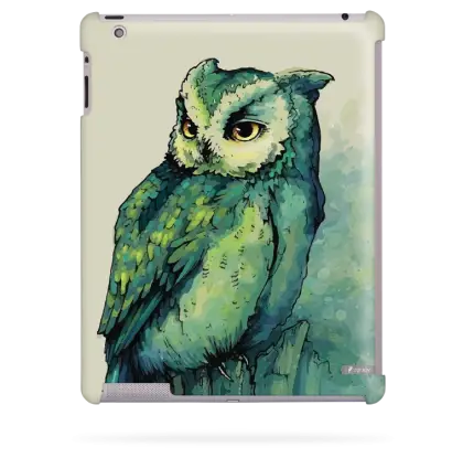 Illustrated Owl on a Branch