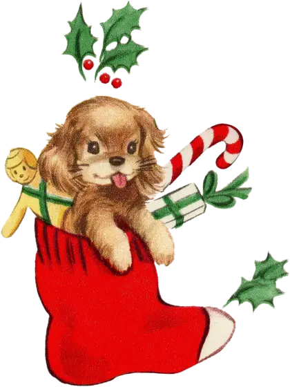 Cute Puppy in Christmas Stocking