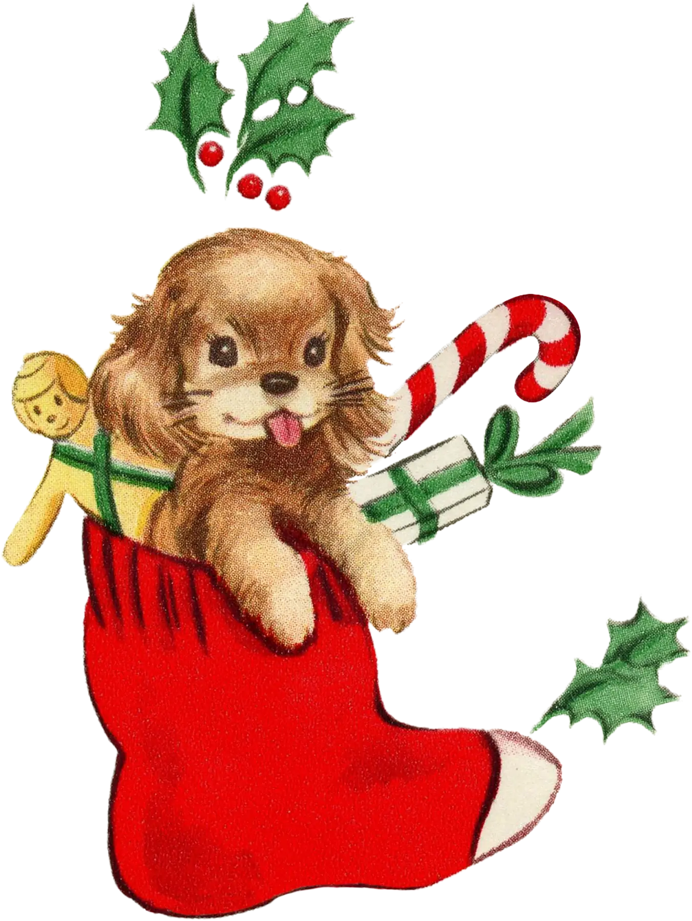 Cute Puppy in Christmas Stocking