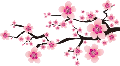 Cherry Blossom Branch with Pink Flowers