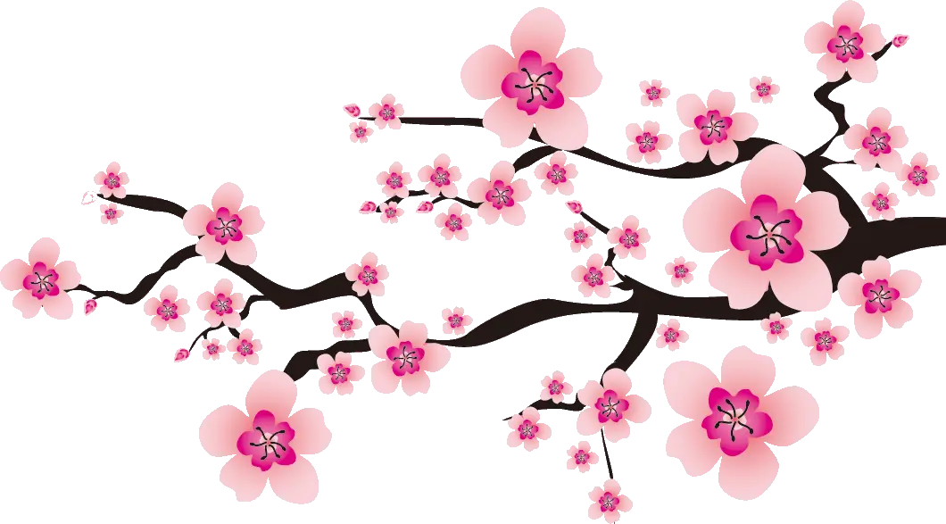 Cherry Blossom Branch with Pink Flowers
