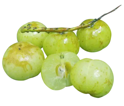 Fresh Green Fruits