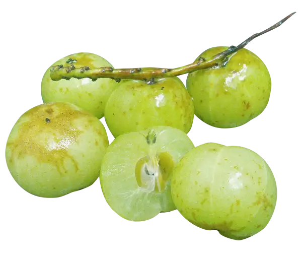 Fresh Green Fruits