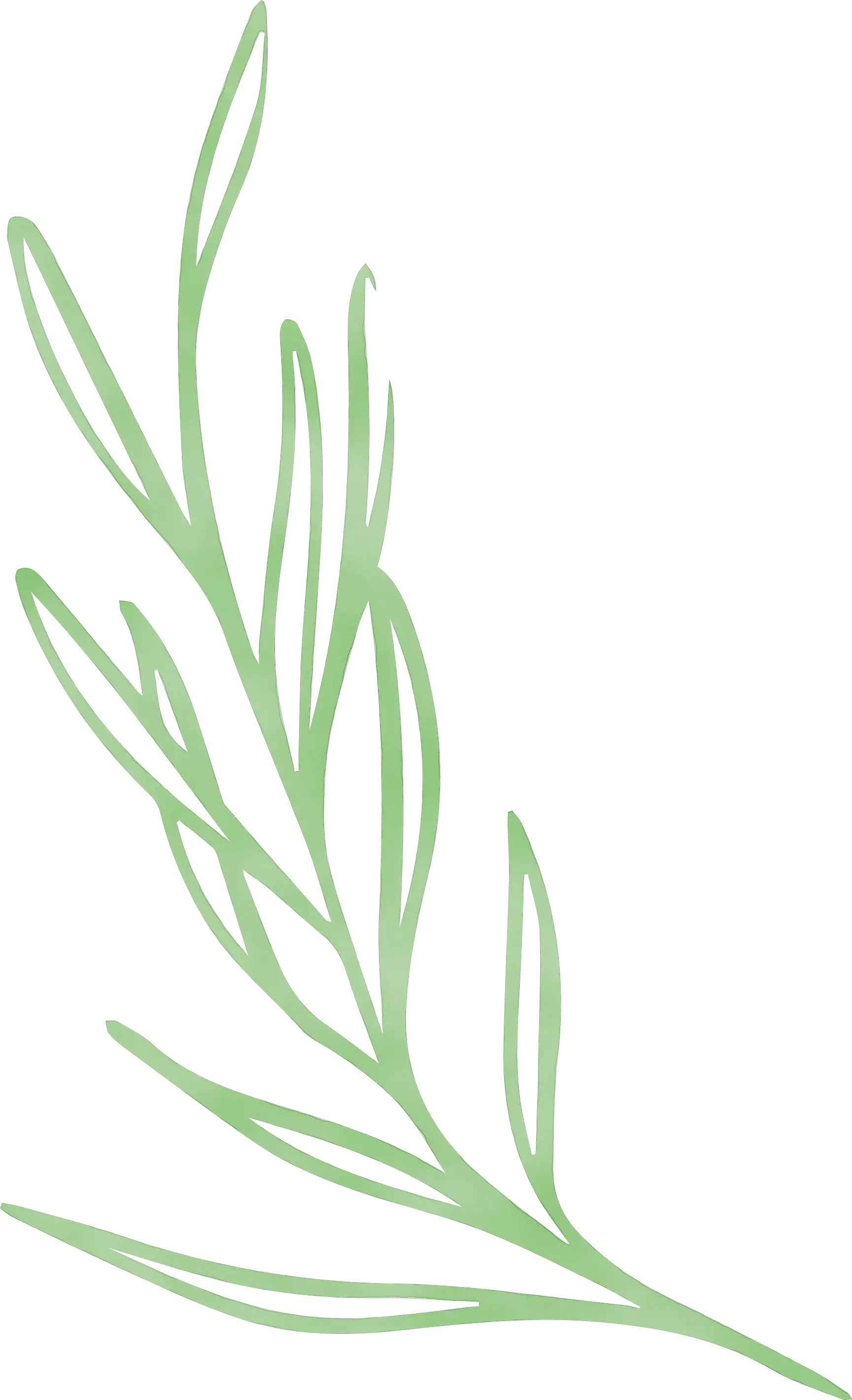 Light Green Leaf Branch Line Art