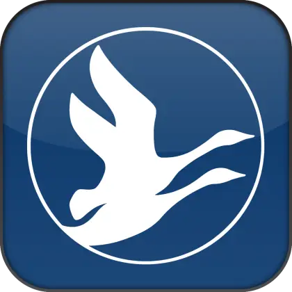 Flying Birds Logo