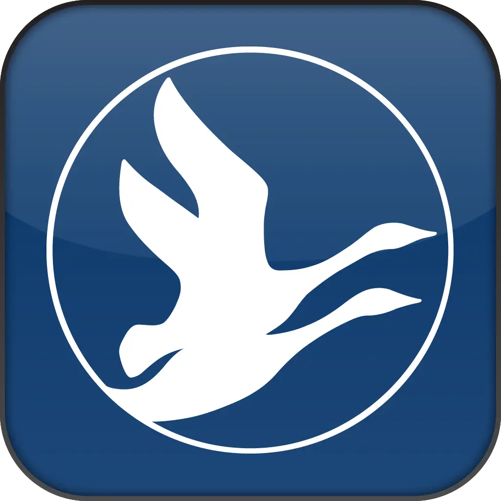 Flying Birds Logo