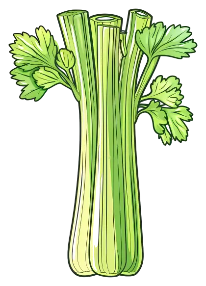 Fresh Celery Illustration in Green Tones