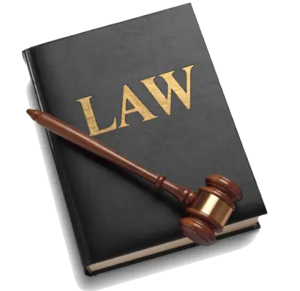 Law Book with Gavel