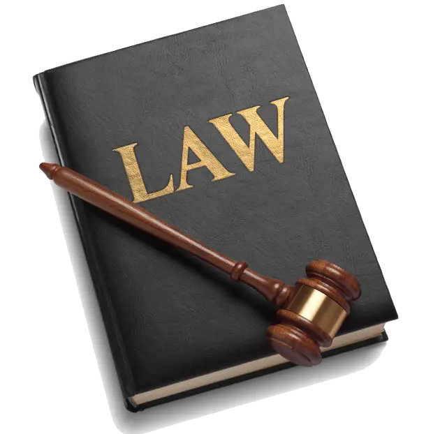Law Book with Gavel