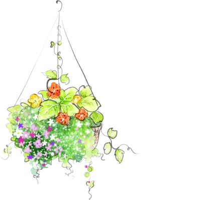 Colorful Hanging Basket with Flowers