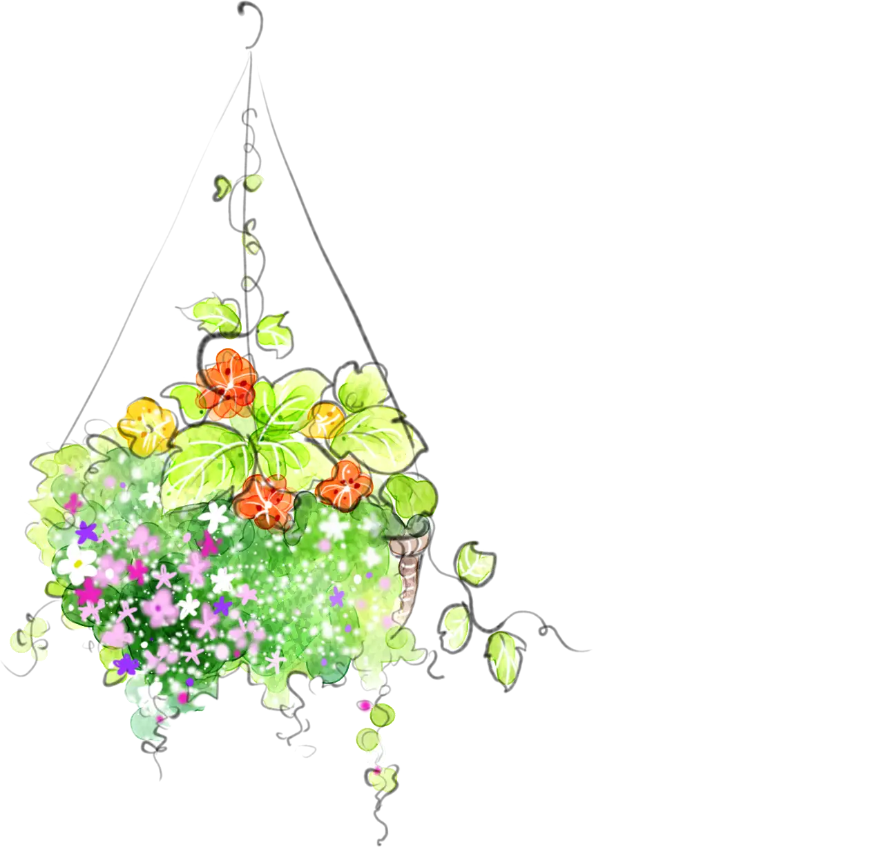 Colorful Hanging Basket with Flowers