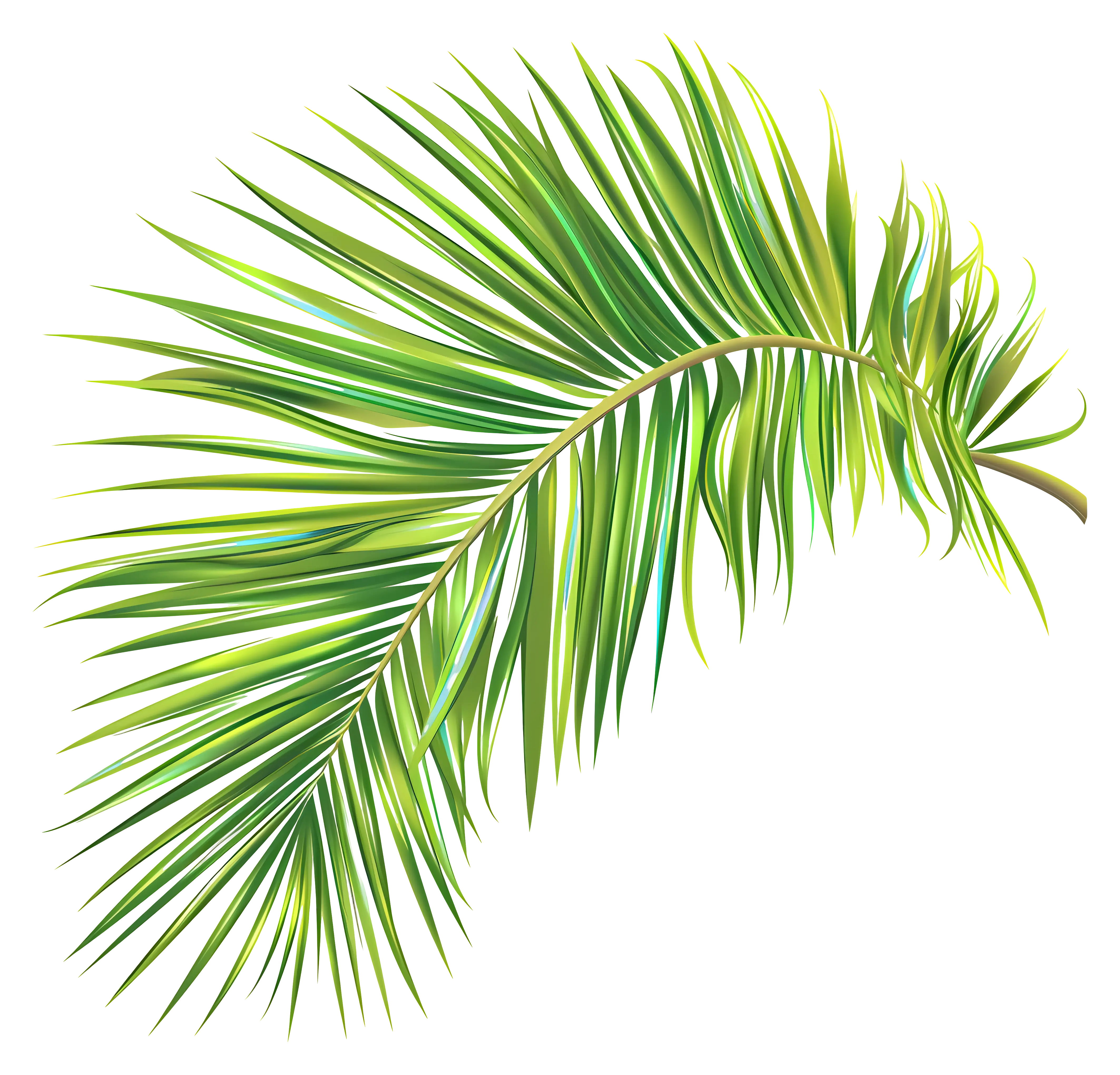 Tropical Palm Leaf Illustration