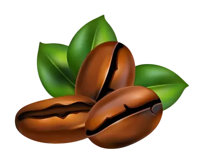 Natural Coffee Beans with Leaves