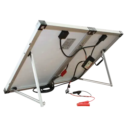 Portable Solar Panel with Stand