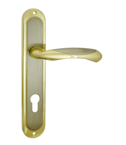 Golden Door Handle with Keyhole Design