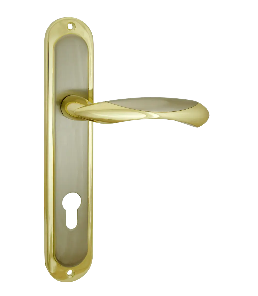 Golden Door Handle with Keyhole Design